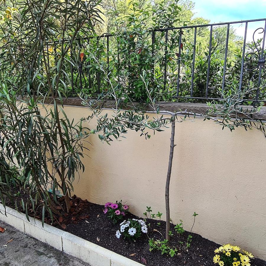 Casa Mon Villa Tiurana Bagian luar foto